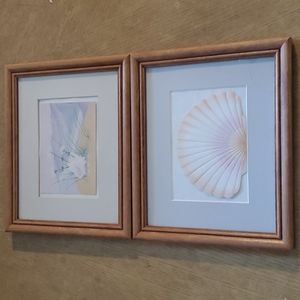 Set (2) of framed seashell pictures.